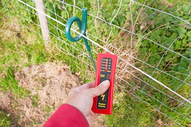 All You Need to Know About the Best Electric Fence Charger for Cattle