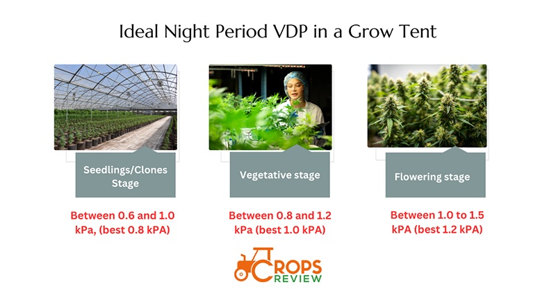 ideal night period VPD in a grow tent