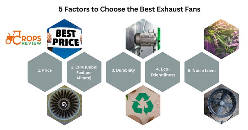 5 factors to Choose the Best Exhaust Fans for Grow Tent Ventilation