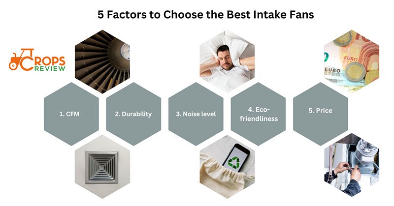 5 factors to choose the Best Intake Fans for Grow Tent Ventilation