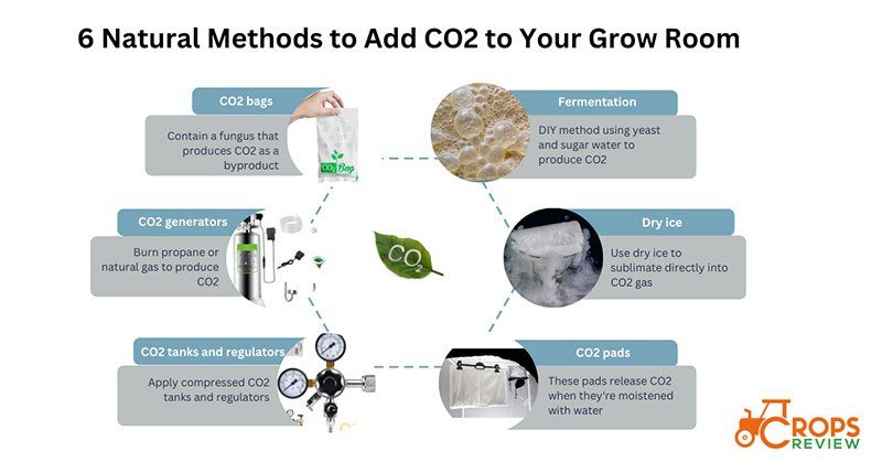 6 natural methods to add CO2 to your grow room