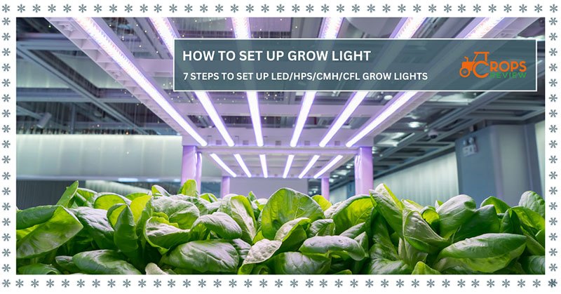 How to Set Up Grow Light: 7 Steps to Set Up LED/HPS/CMH/CFL Grow Lights ...