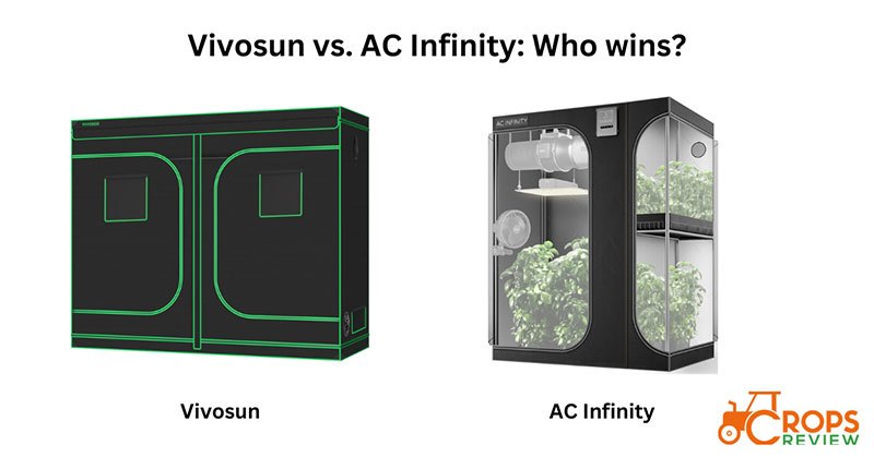 Vivosun vs. AC Infinity: What Are the Similarities and Differences?