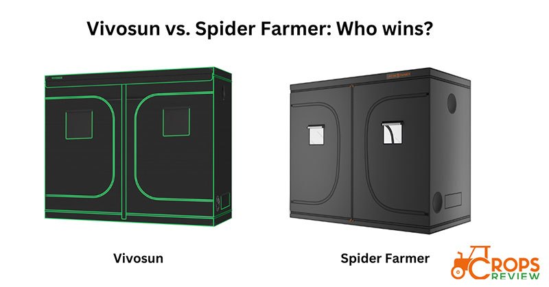 Vivosun vs. Spider Farmer: What Are the Similarities and Differences?